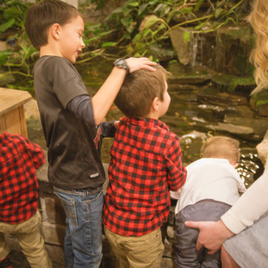 Justin and Suzi Wedding