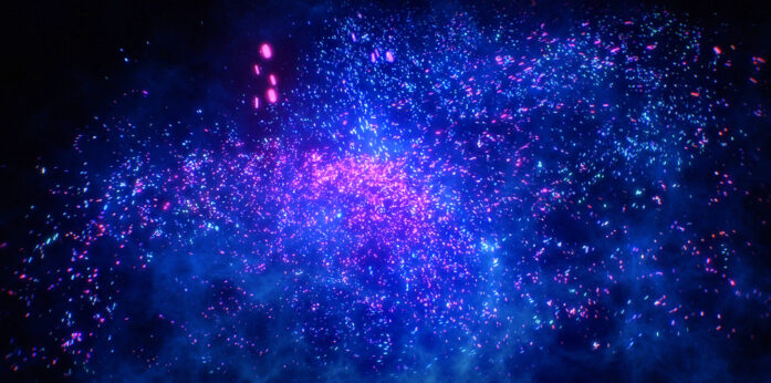 China Spectacular 2019 Projections