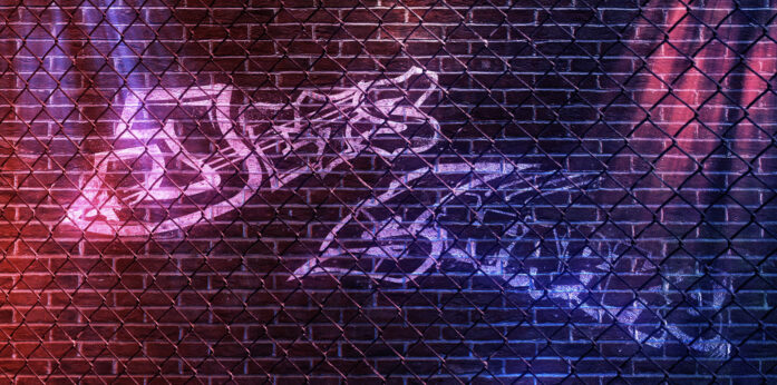 China Spectacular 2019 Projections