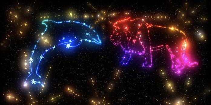 China Spectacular 2019 Projections