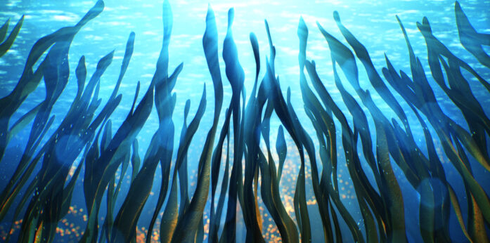 China Spectacular 2019 Projections