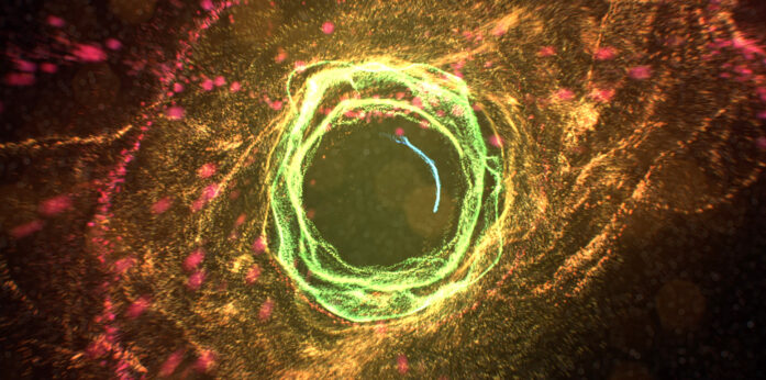 China Spectacular 2019 Projections