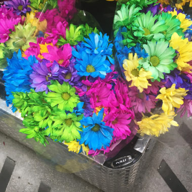 color inspiration for BYU Spectacular 2018