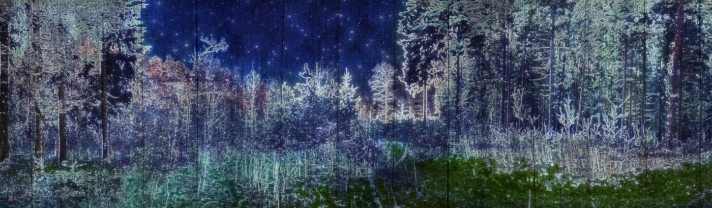 Projection Design for Seven Brides for Seven Brothers at the Playmill in 2020 by Justin Hemsley