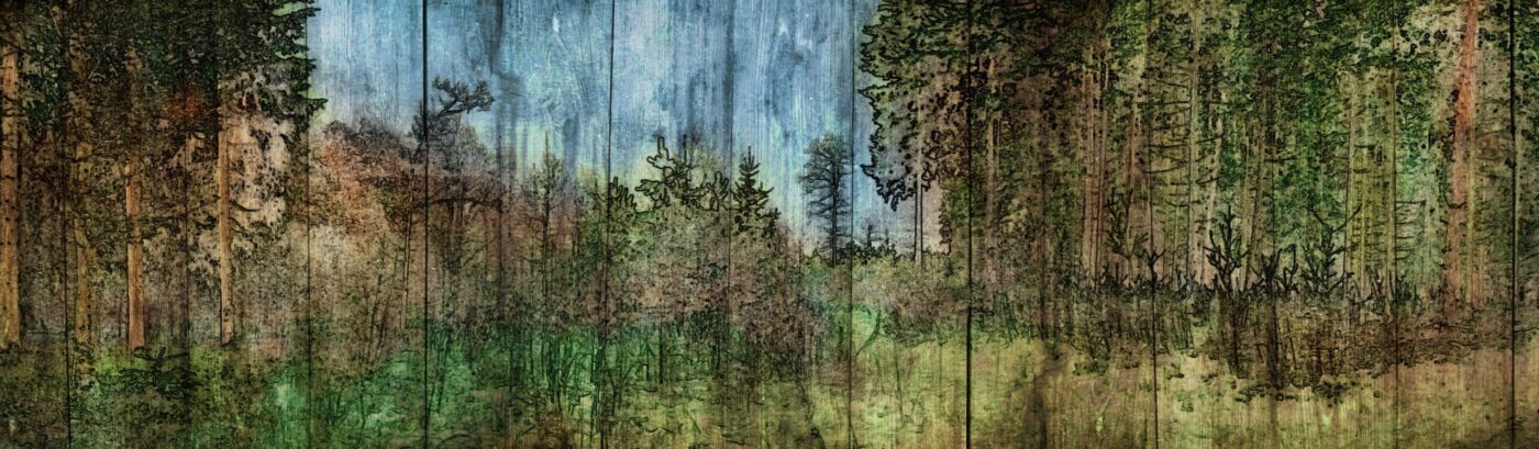 Projection Design for Seven Brides for Seven Brothers at the Playmill in 2020 by Justin Hemsley